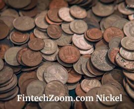 FintechZoom.com Nickel